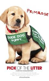 Pick of the Litter poster