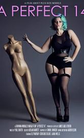 A Perfect 14 poster