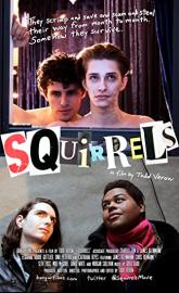 Squirrels poster