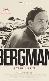 Bergman: A Year in a Life poster