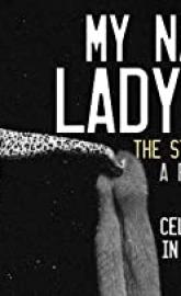My Name is Lady Gaga poster