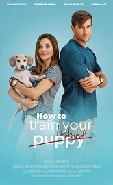 How to Train Your Husband or poster