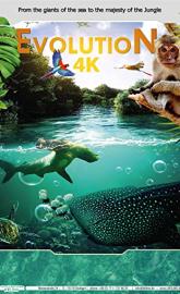 Evolution 4K poster