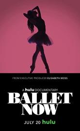 Ballet Now poster