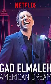 Gad Elmaleh: American Dream poster