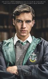 Voldemort: Origins of the Heir poster