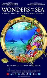 Wonders of the Sea poster