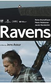 Ravens poster