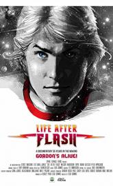 Life After Flash poster