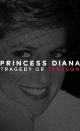 Princess Diana: Tragedy or Treason? poster