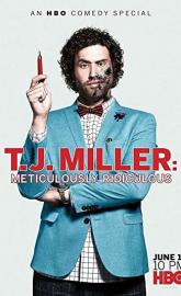 T.J. Miller: Meticulously Ridiculous poster