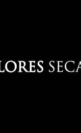 Flores Secas poster