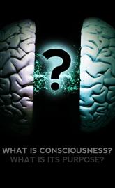 What Is Consciousness? What Is Its Purpose? poster