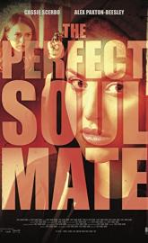 The Perfect Soulmate poster