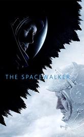 Spacewalk poster