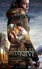 Palm Trees in the Snow poster