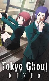 Tokyo Ghoul: Pinto poster