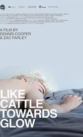 Like Cattle Towards Glow poster