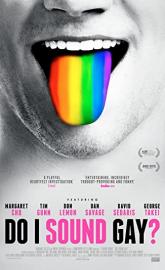Do I Sound Gay? poster