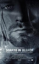 Soaked in Bleach poster