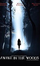 Awake in the Woods poster