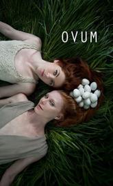 Ovum poster