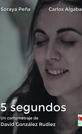5 Seconds poster