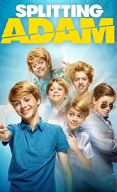 Splitting Adam poster