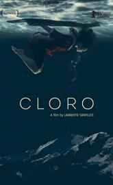 Chlorine poster