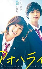 Blue Spring Ride poster