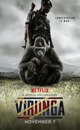 Virunga poster