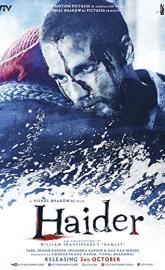 Haider poster