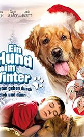 Christmas with Tucker poster