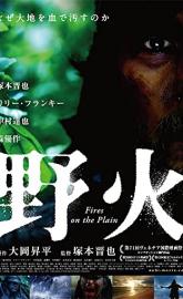 Fires on the Plain poster