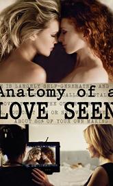 Anatomy of a Love Seen poster
