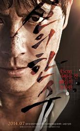 The Divine Move poster