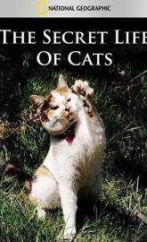 The Secret Life of Cats poster