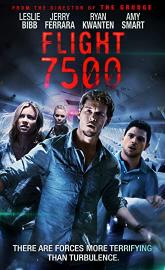 Flight 7500 poster