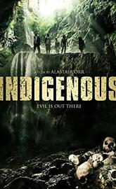 Indigenous poster