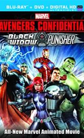 Avengers Confidential: Black Widow & Punisher poster