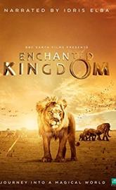 Enchanted Kingdom poster