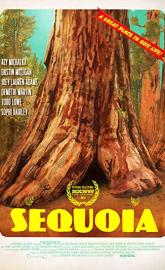 Sequoia poster