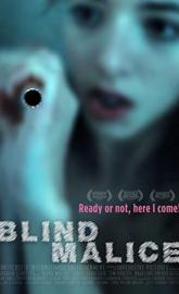 Blind Malice poster