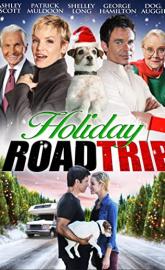 Holiday Road Trip poster
