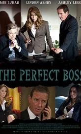 The Perfect Boss poster