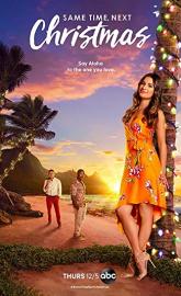 Same Time, Next Christmas poster