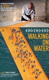 Walking on Water poster