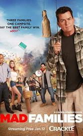 Mad Families poster