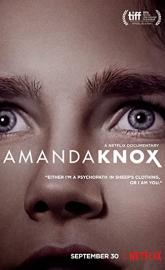 Amanda Knox poster