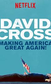 David Cross: Making America Great Again poster